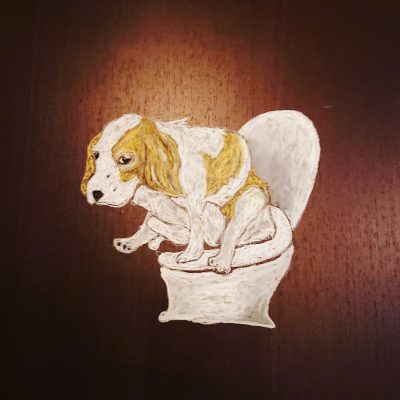 キャバリア　ビーグル　犬　おしゃれ